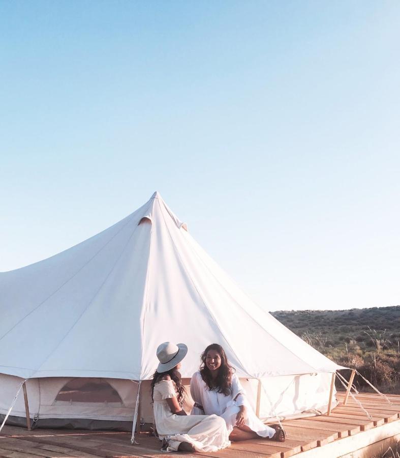 Shash Dine' Ecoretreat *